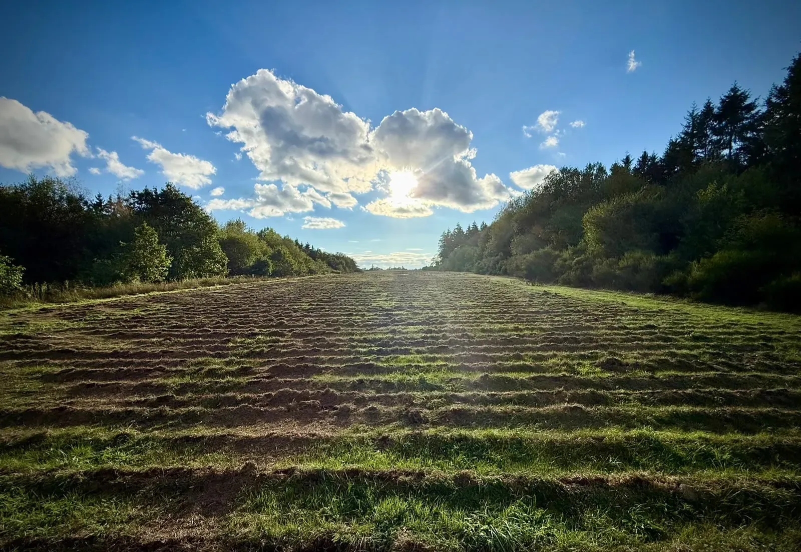 La piste vue dans l'axe, avec des sillons parallèles réguliers creusés dans le gazon sur toute sa largeur